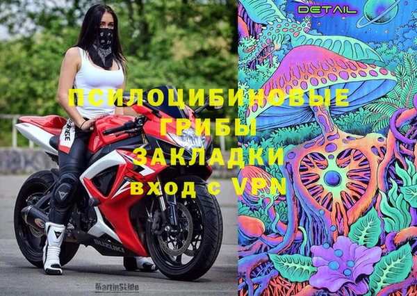 ПСИЛОЦИБИНОВЫЕ ГРИБЫ Пестово