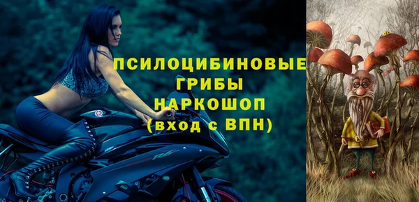 ПСИЛОЦИБИНОВЫЕ ГРИБЫ Пестово