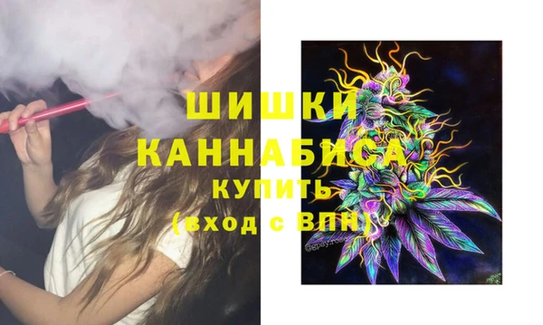 ПСИЛОЦИБИНОВЫЕ ГРИБЫ Пестово
