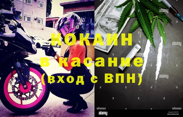ПСИЛОЦИБИНОВЫЕ ГРИБЫ Пестово