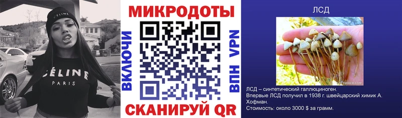 Псилоцибиновые грибы Psilocybe  это Telegram  Торопец 